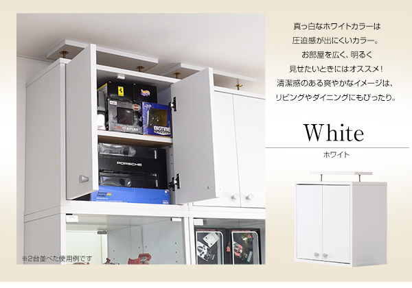 コレクションラック Luke ルーク 深型ハイタイプ用専用上置き - 家具