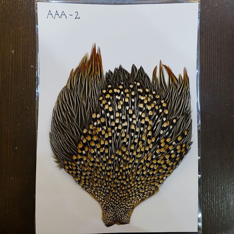 ジャングルコック AAA-2