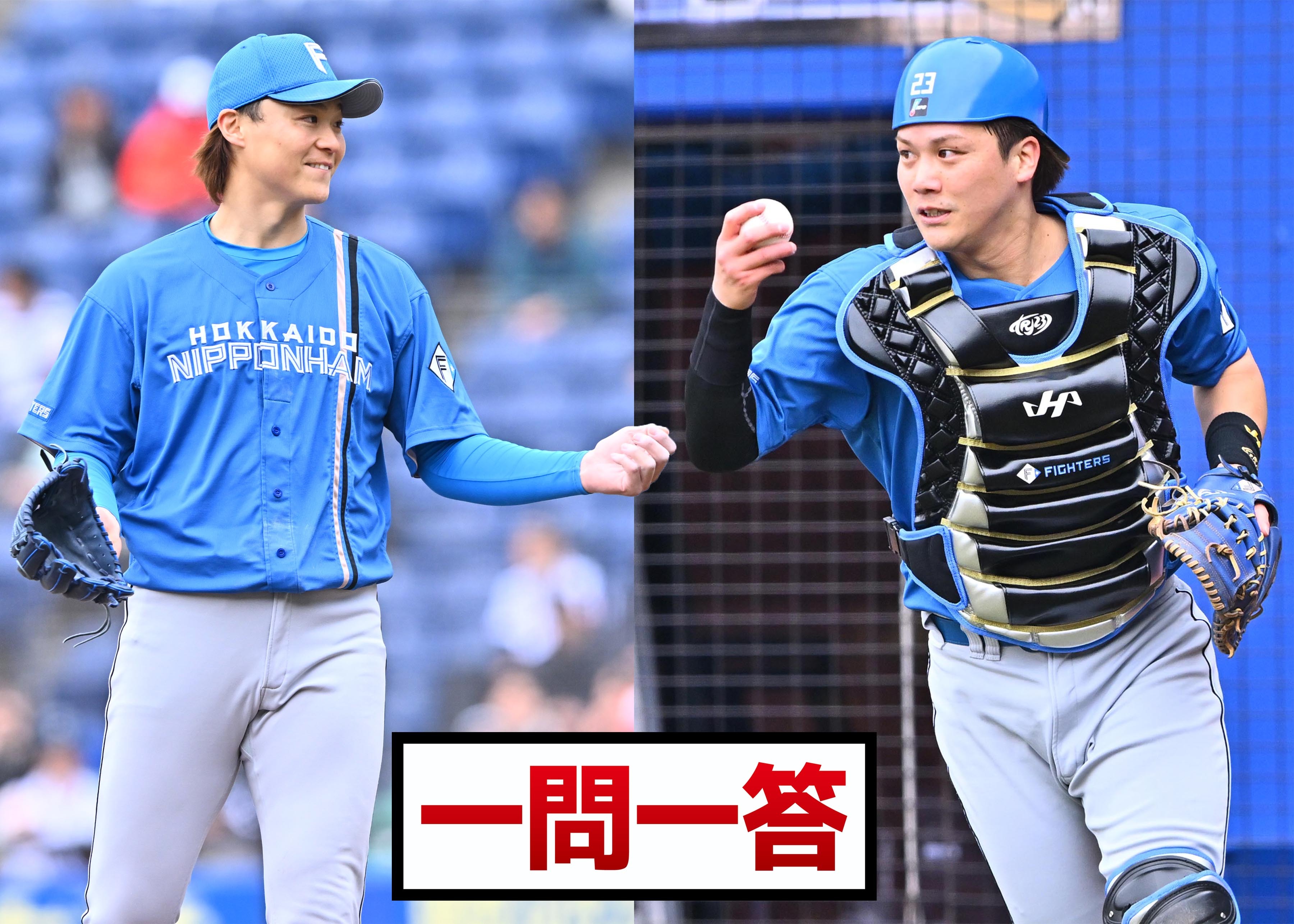 伏見寅威の衝撃回答に山崎福也もビックリ！？「道新スポーツ（記事化を