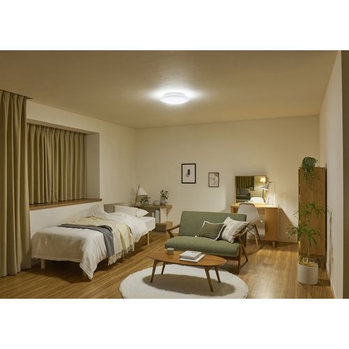 LEDシーリングライト 5.0Qシリーズ 6畳調光 CEA6D-5.0Q アイリス