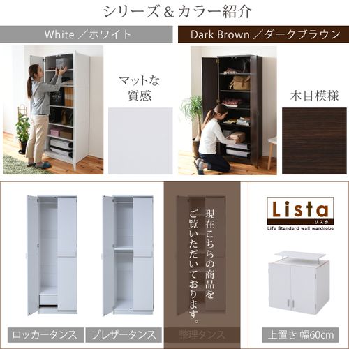 クローゼット 整理ダンス 壁面収納 扉付き 衣類収納 FRM-0120-DB JK