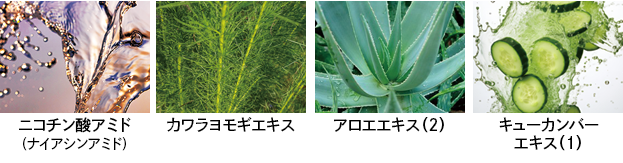 DRデヴィアスプラチナ®NIAボディローションⅡ｜ドクターデヴィアス化粧品