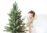 RS GLOBAL TRADE社(グローバルトレード社)クリスマスツリー90cm