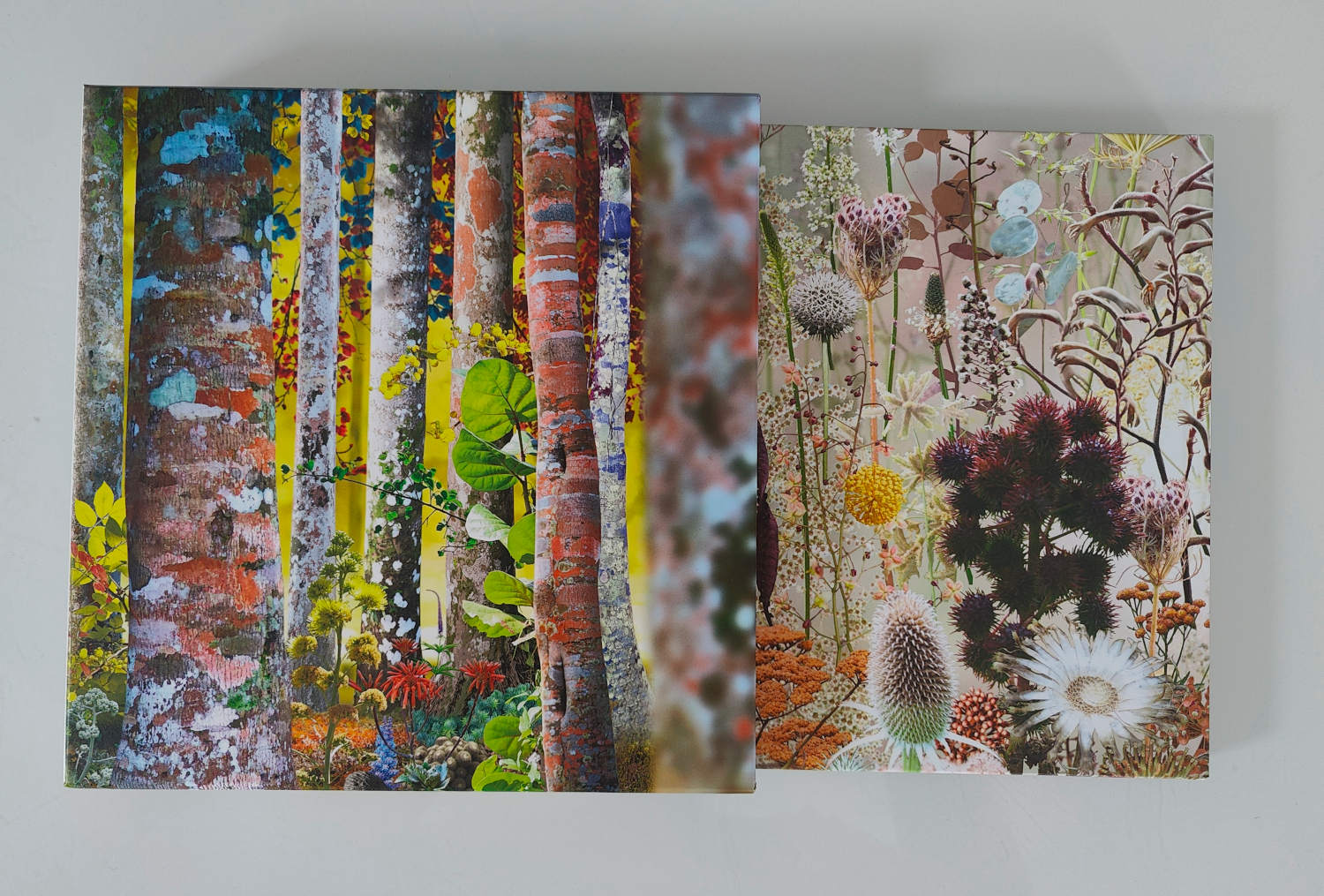 Do You Know Me Now? (book + merchandise) - David Sylvian : Expect