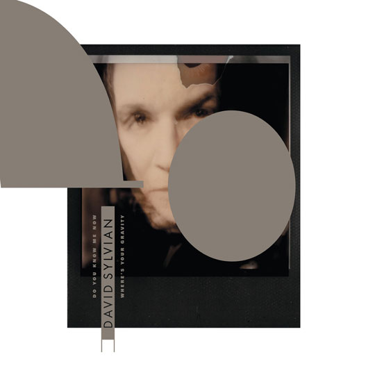 davidsylvian.com } David Sylvian 