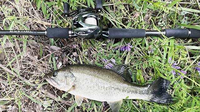 ダイワ ブラックレーベルトラベル C66M-5 | 実釣インプレ - 俺のバス