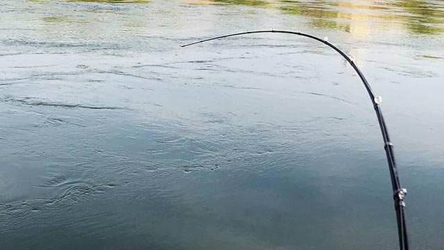 ダイワ ハートランド HL 722ML+FB-ST 20 | 実釣インプレ - 俺のバス