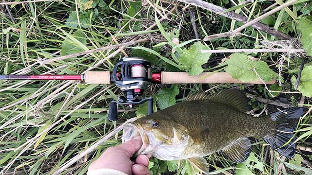 シマノ ワールドシャウラ 1651FF-3 | 実釣インプレ - 俺のバス釣りタックル