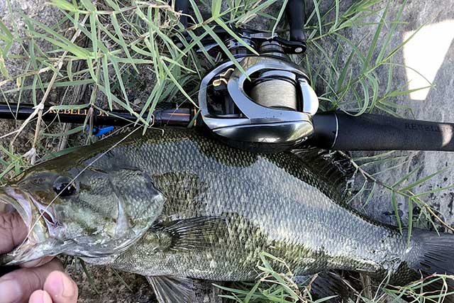 RCSB CT SV700S G1 スプール | インプレ & 重量 - 俺のバス釣りタックル