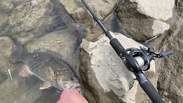 ダイワ 22タトゥーラTW80 | 実釣インプレ - 俺のバス釣りタックル