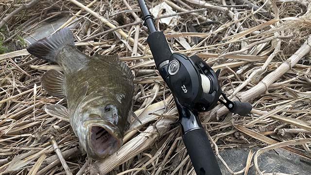 ダイワ 22タトゥーラTW80 | 実釣インプレ - 俺のバス釣りタックル