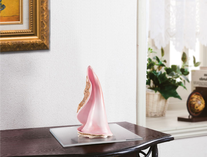 クイーンコンクシェル（小）三宝堂オンラインショップ