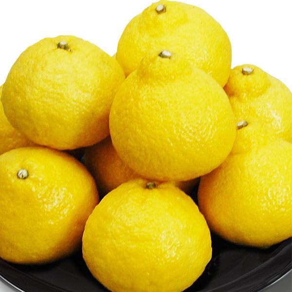 愛媛県産 はるか ギフト用5kg - 愛媛県産 はるか