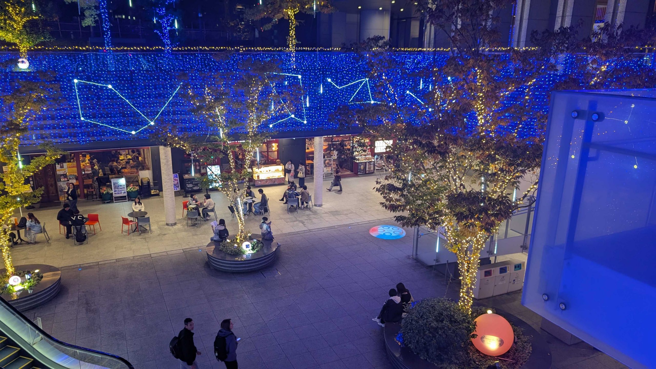 本学学生3名が2025年度「Solacity Winter Illuminations」の