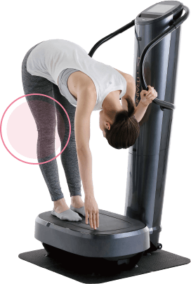 DIETTRAINER CORE ダイエットトレーナー コア｜フジ医療器