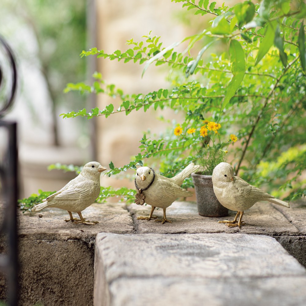 小鳥3羽セット 通販 - ディノス