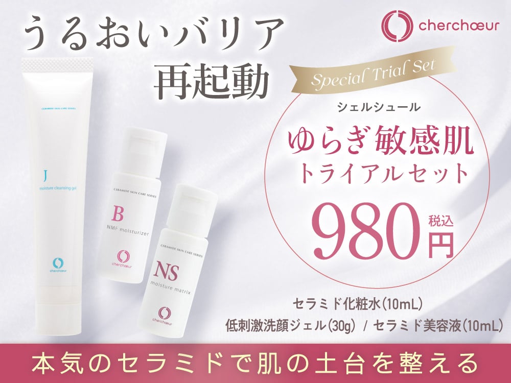 公式】DSRオンラインショップ トップページ