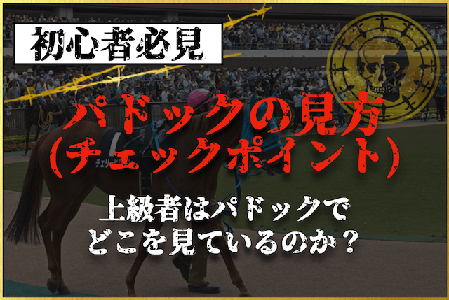 競馬のパドックの見方は？危険な人気馬や激走穴馬を見つけるポイントを