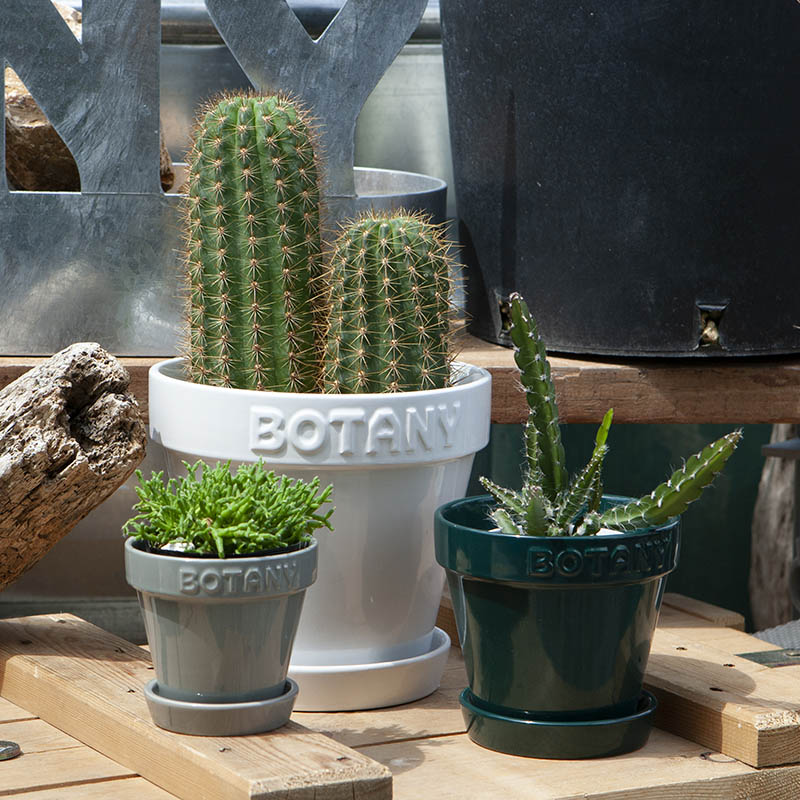 DULTON ONLINE SHOP | BOTANY POT 6 WHITE(6号 WHITE): ガーデン