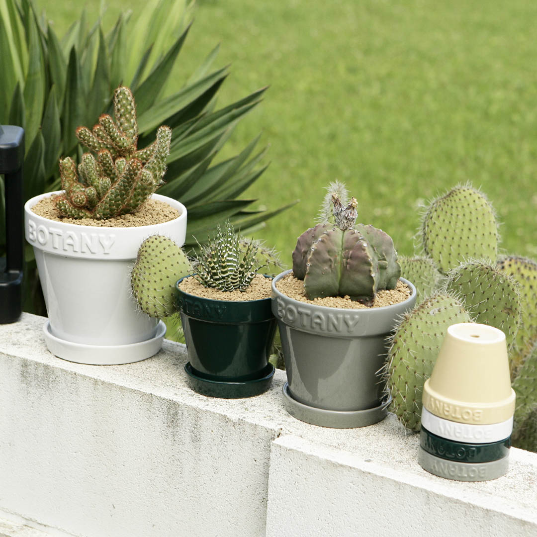 DULTON ONLINE SHOP | BOTANY POT 6 WHITE(6号 WHITE): ガーデン