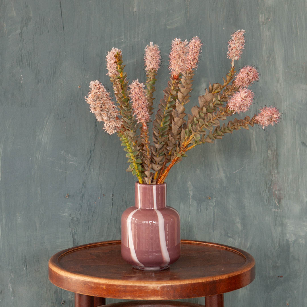 DULTON ONLINE SHOP | LINEA VASE PURPLE(PURPLE): インテリア雑貨