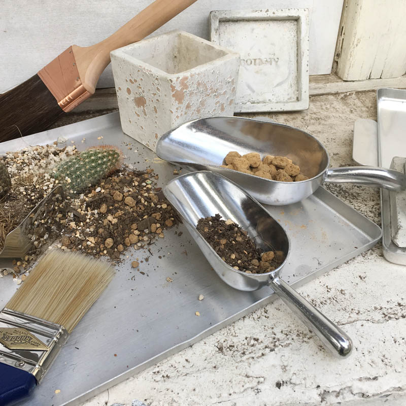 DULTON ONLINE SHOP | ALUMINIUM SCOOP L(L): キッチン & ダイニング