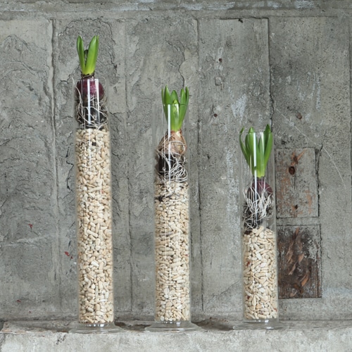 DULTON ONLINE SHOP | GLASS VASE PROBETA S(S): インテリア雑貨