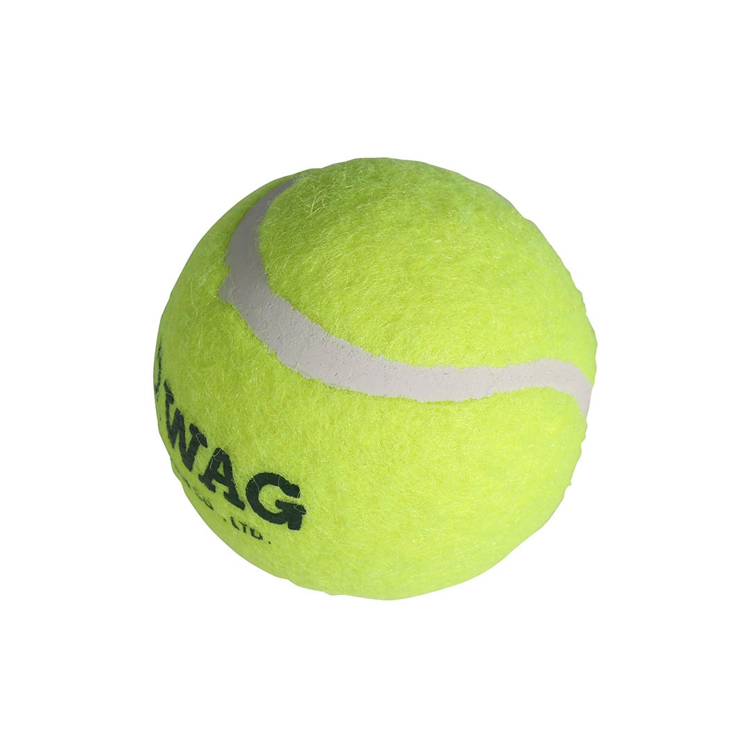 DULTON ONLINE SHOP | TENNIS BALL SET OF 3 XS(XS): ホーム用品