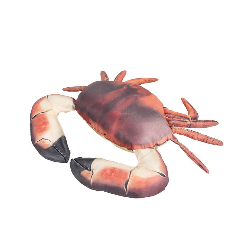 DULTON ONLINE SHOP | FISHES BROWN CRAB 25(BROWN CRAB): インテリア雑貨