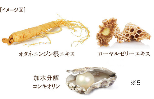 ダスキン カルディクリームコンセント カルディ クリーム コンセント