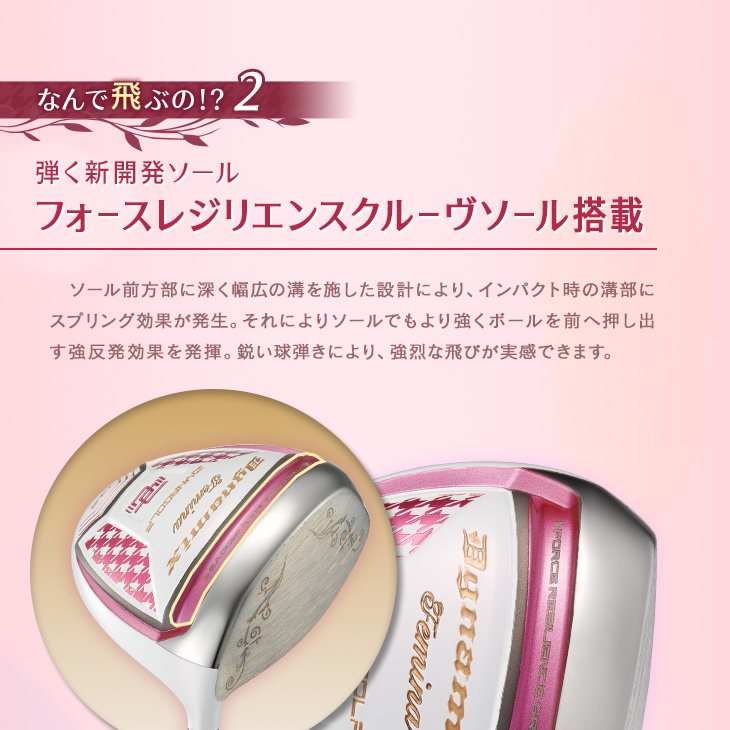 ダイナミクス フェミーナ