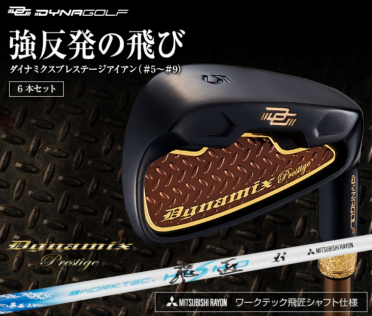 6本セット】ダイナミクス プレステージ アイアン6本セット (#5～#9