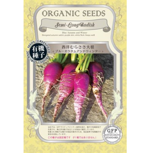 発根済　ムランジーナ　特大株　極美 ようやく、 3株目にして ようやく発根させられたムランジーナ