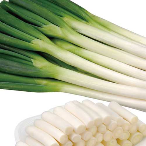 味十八番[ネギ] - e-種や｜国内最大級の野菜種・花種・苗・農業資材の