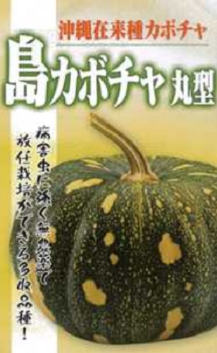 沖縄島かぼちゃ丸型[南瓜] - e-種や｜国内最大級の野菜種・花種・苗