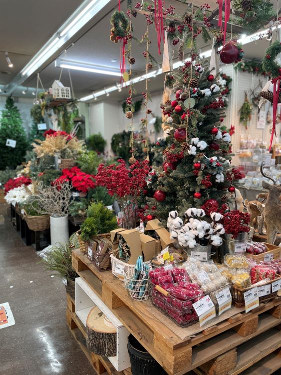 CFL Store 2024 クリスマスの見どころをご紹介します - CFL Store