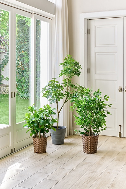 新しい観葉植物の楽しみかた ～3way Style Pot～ | 株式会社東京堂