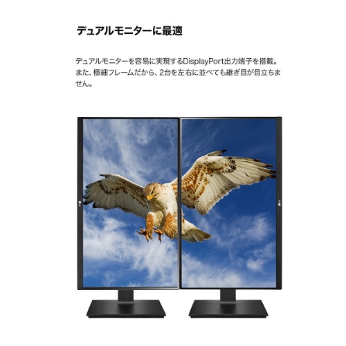e-TREND｜LG電子ジャパン QP 24QP750-B [23.8型 IPS USB Type-C