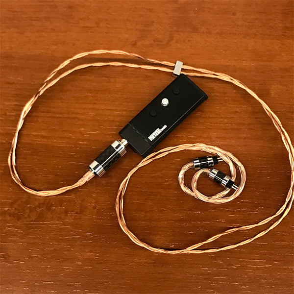 Rhapsodio RSDシリーズ – e☆イヤホン