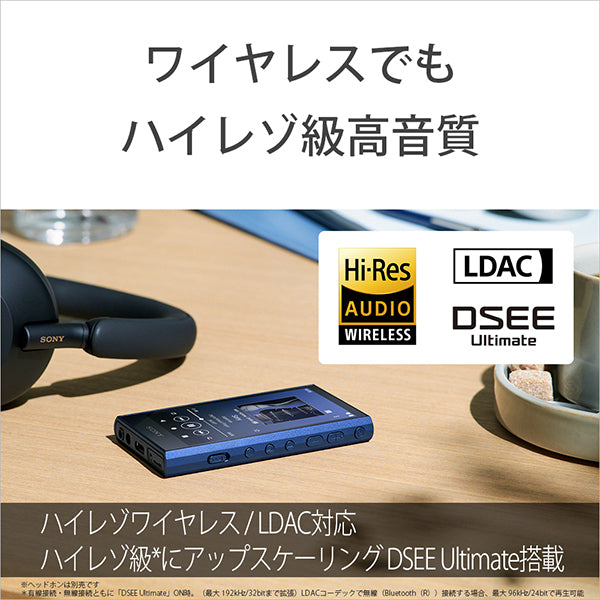 SONY NW-A306/D100 Disney創立100周年記念モデル – e☆イヤホン