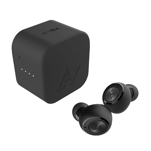 AVIOT TE-D01gv N/Aコラボモデル【TE-D01gv-na】 – e☆イヤホン