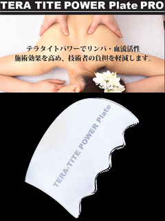 マッサージプレートなら「テラタイト・パワープレート 「女神の手