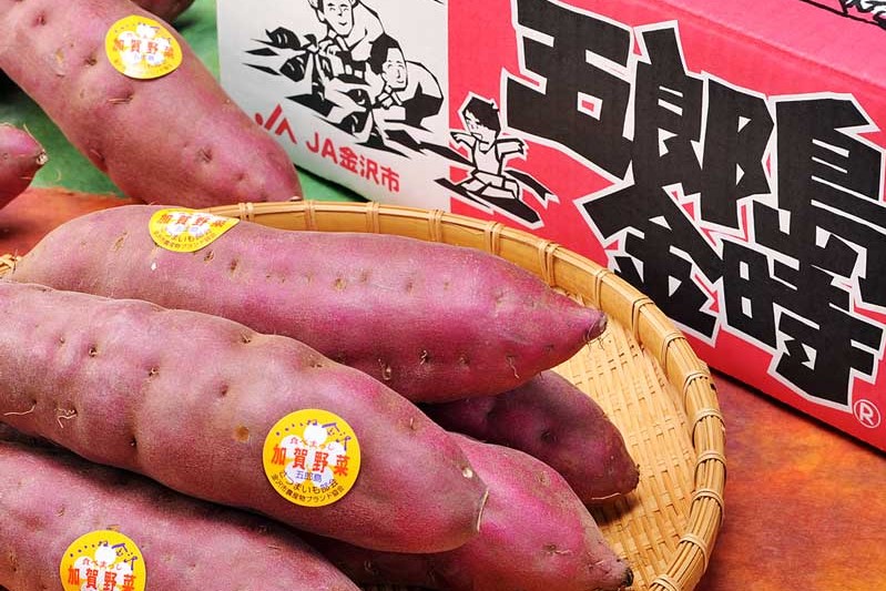 加賀野菜＞さつまいも五郎島金時（Mサイズ 5kg 約20本） 秀品
