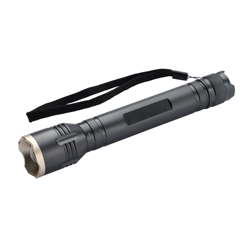 フォーカスハンドライトM SE-19 | 株式会社コンテック