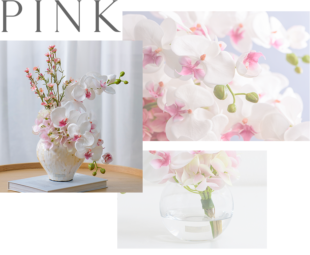 お祝いに贈るお洒落な胡蝶蘭特集(アーティフィシャルフラワー