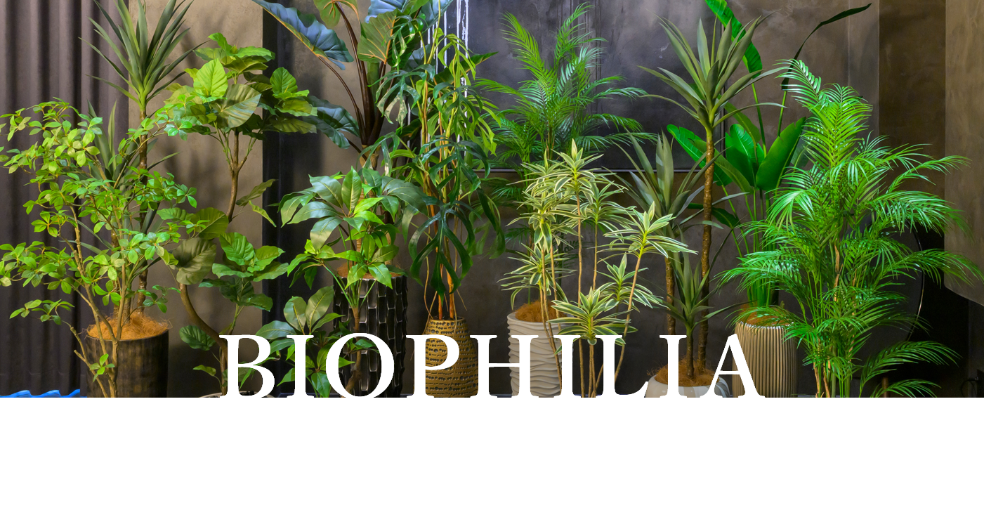観葉植物(アーティフィシャルグリーン)特集｜エミリオ・ロバ公式