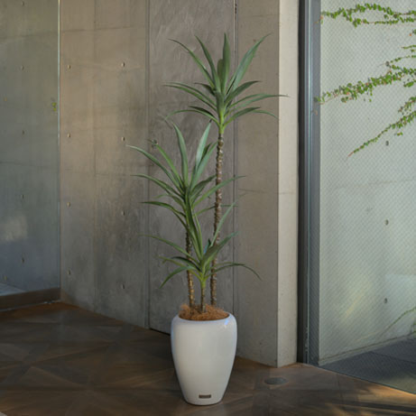 ユッカラン アーティフィシャルグリーン 観葉植物 ギフト プレゼント