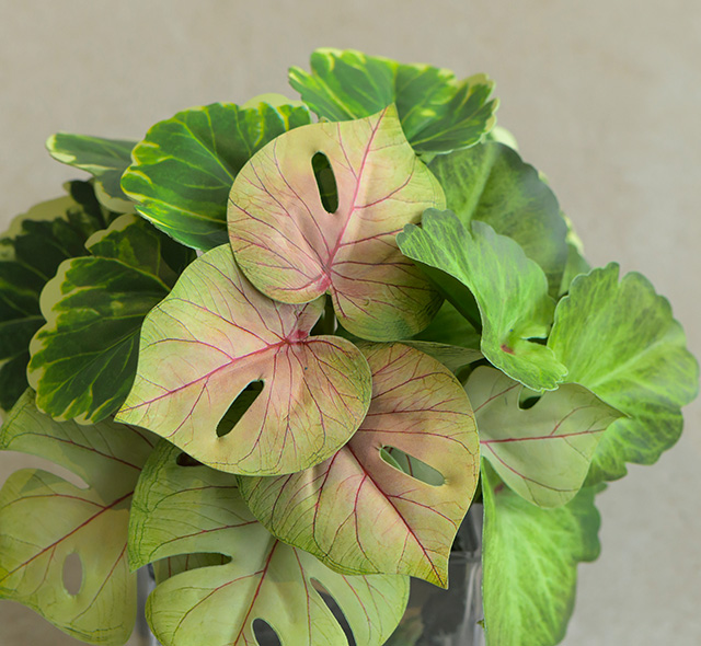 観葉植物 ゼラニウム＆モンステラポプリSS24 アーティフィシャル