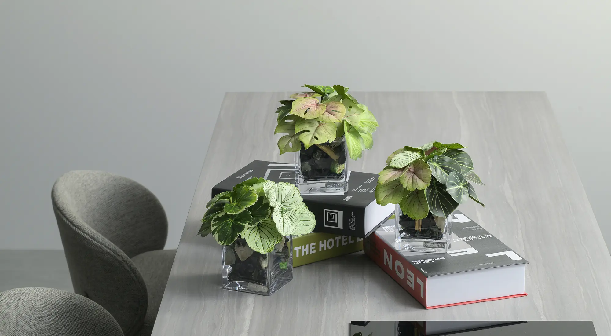 観葉植物 ゼラニウム＆アオエニウムポプリSS24 アーティフィシャル