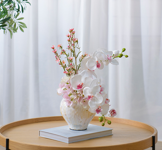 ファレノプシスリップピンク2L 胡蝶蘭 高品質 ギフト プレゼント